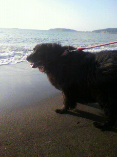 �緿�� 14��