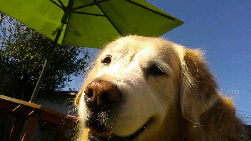 ������ǥ��ȥ�С����꤭�ޤ�