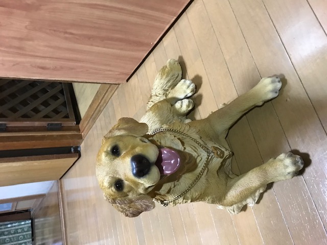 ΥǥȥСʪ