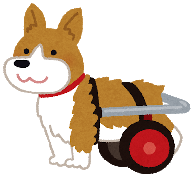 車いすを使う大型犬